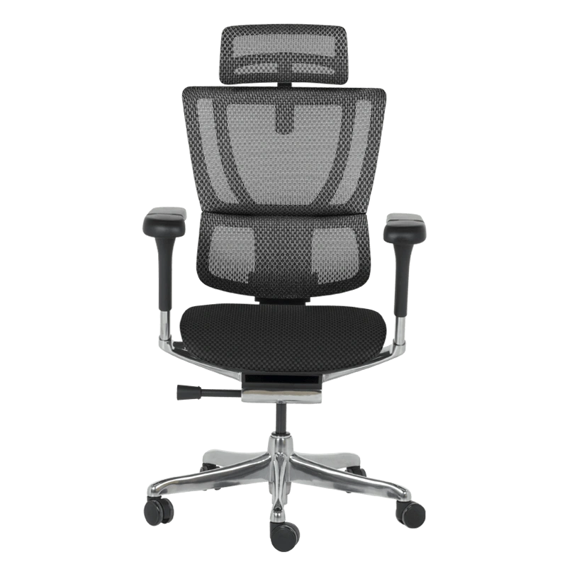 ERGOHUMAN IOO ELITE 2