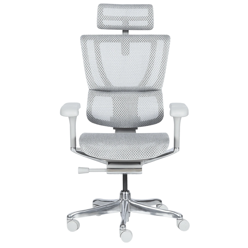 ERGOHUMAN IOO ELITE 2