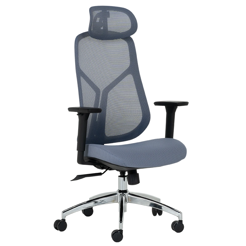 Кармен 7901 - сина